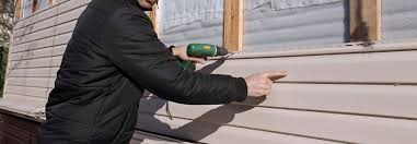 Best Vinyl Siding Installation  in Dumas, TX